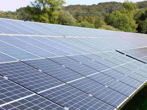 Solarmodule einer Freiflächenanlage in grüner Landschaft bei sonnigem Wetter.